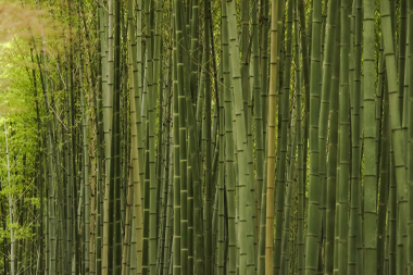 竹制品保養方法